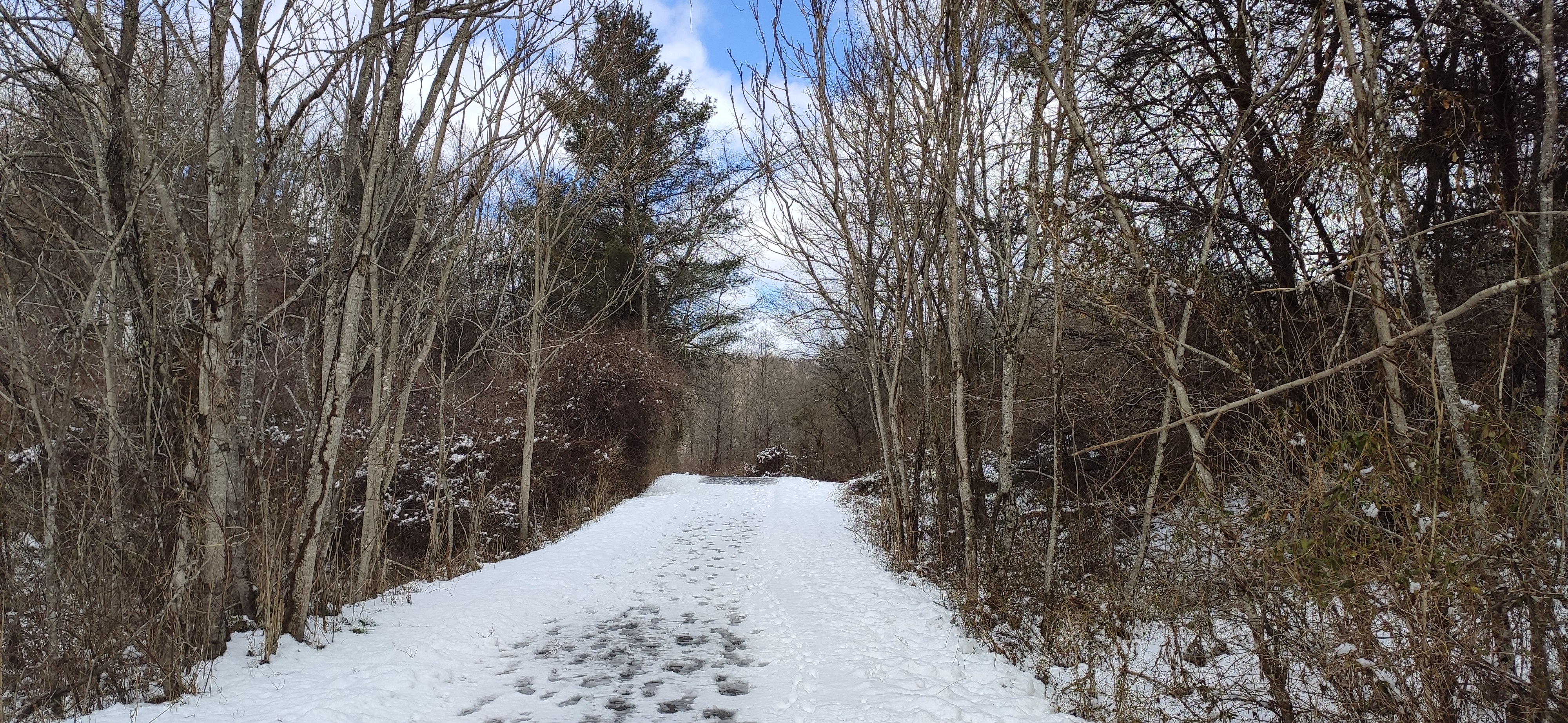 Huckleberry Trail in winter